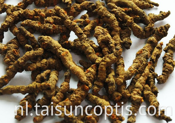 Raw Chinese Herbs Radix Coptics